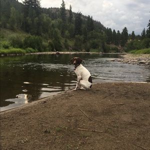 Meet your Posher, Whittli